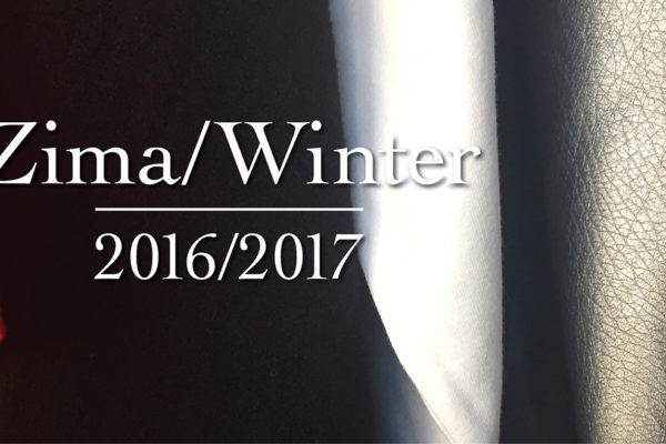 Cochin FB coverphoto Winter 2016/17